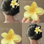 Flower Clips PROMOÇÃO APENAS HOJE!